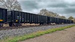 SRXX 212345 is new to rrpa.